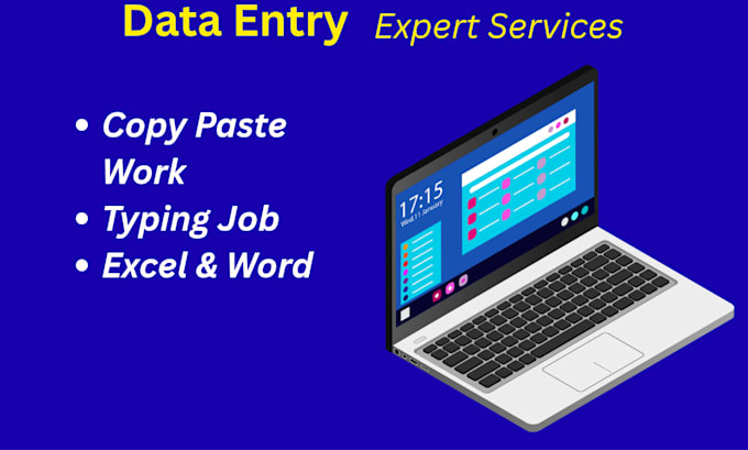 expert data entry work