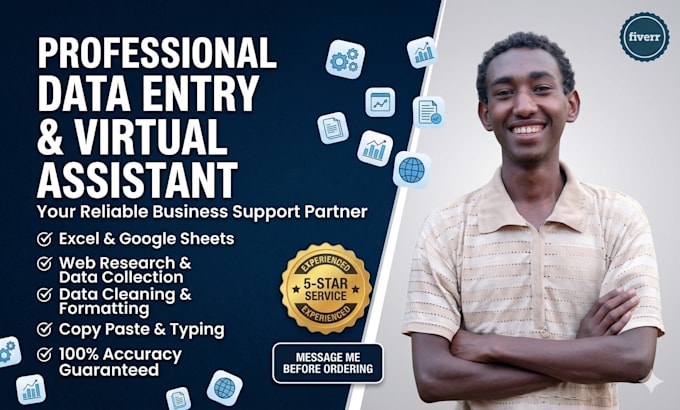 do fast and accurate data entry web research and excel formatting
