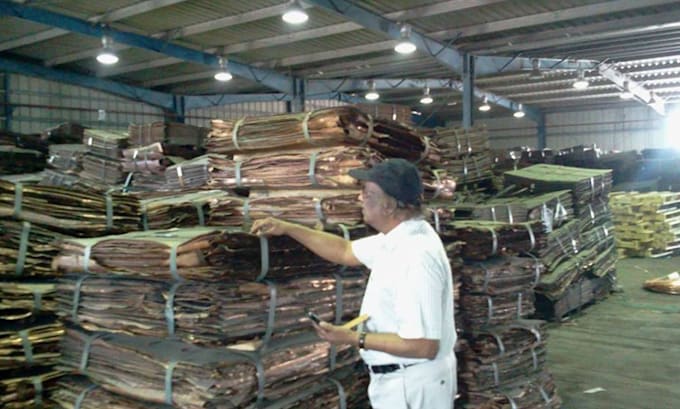 do insurance claim process