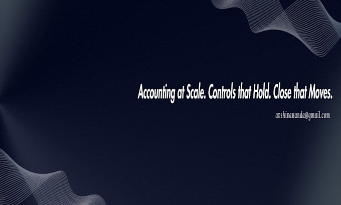 provide professional bookkeeping and accounting services
