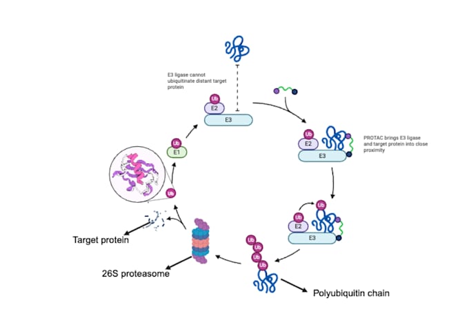 professional editing for genetics research manuscripts