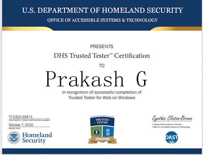 perform wcag accessibility testing and audit