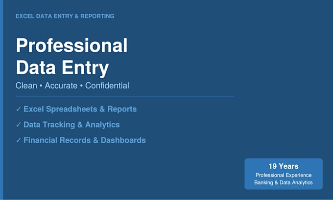 professional excel data entry and reporting