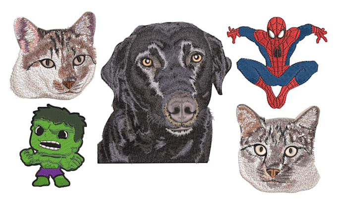 do embroidery digitizing into dst,pes emb in 1 hour