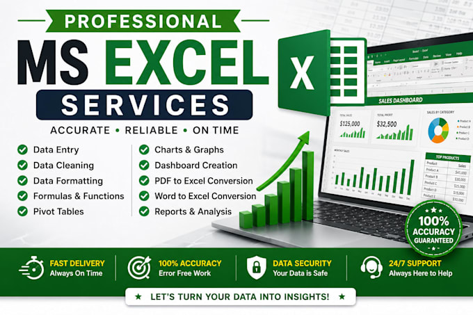 do professional microsoft excel data entry,