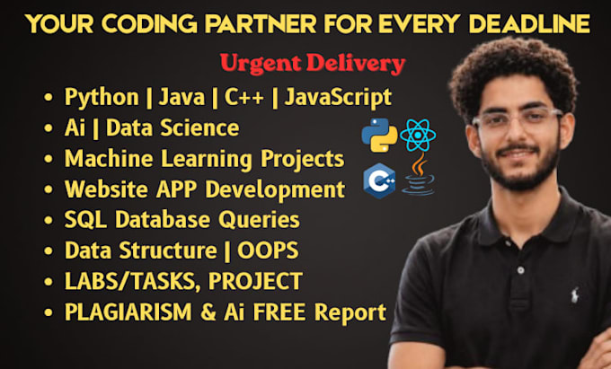 do assigned programming python machine learn java cpp sql database web developer