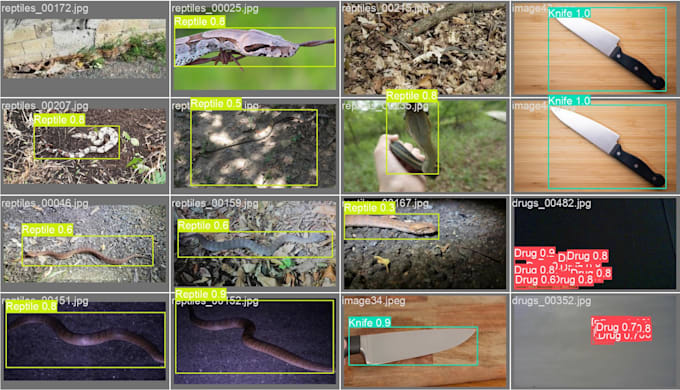 build computer vision and yolo object detection projects