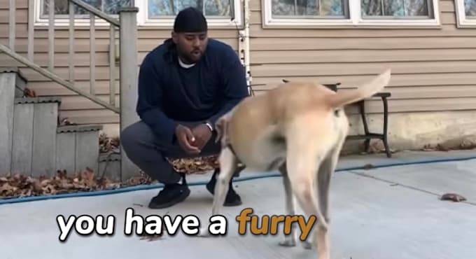 create authentic pet ugc videos for brands