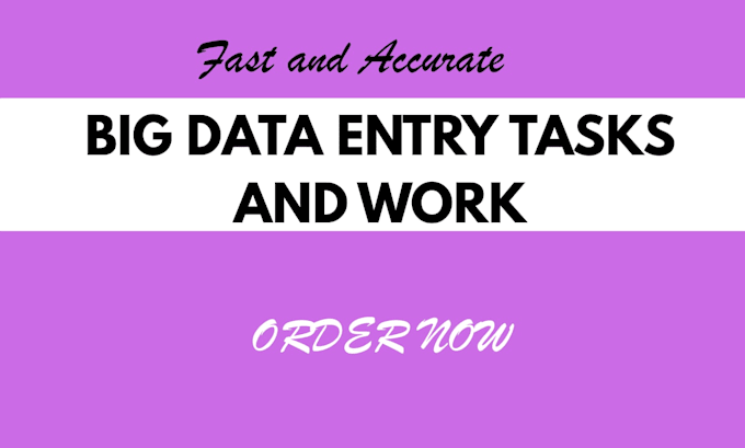 do fast and accurate big data entry work and task