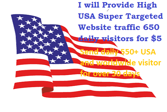 provide USA Super real human traffic over 650 daily visitors