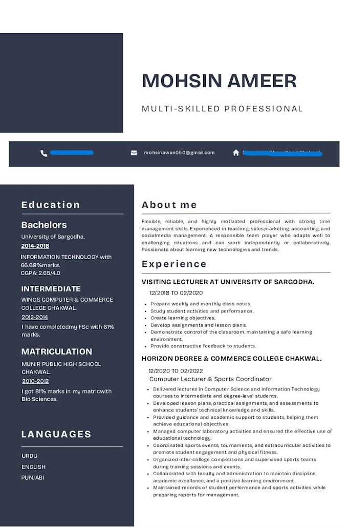 create professional resume CV  cover letter