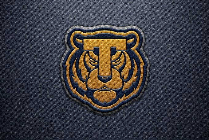do embroidery logo design for 3d puff stipulated time work