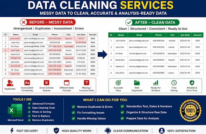 professionally clean messy data and format it