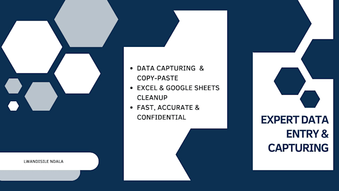 do expert data capturing, data entry and excel data clean up