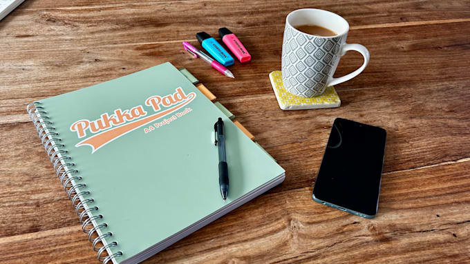 provide project management and operational support