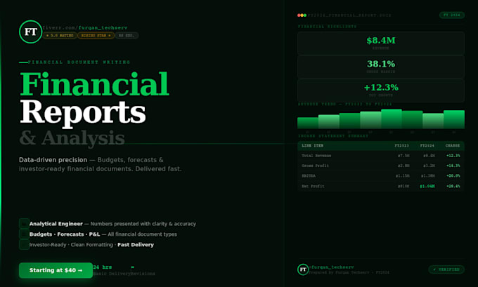 do professional financial reports, budgets, forecasts, and financial analysis