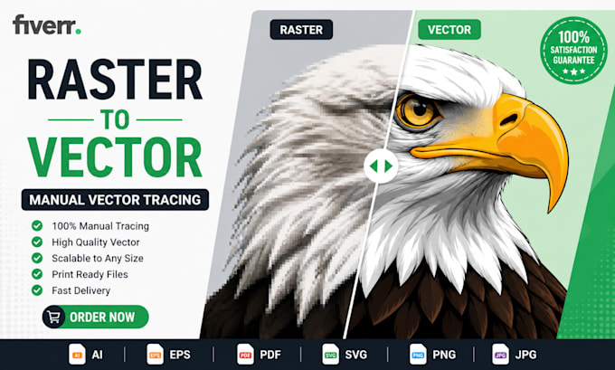 do professional raster to vector conversion or image tracing