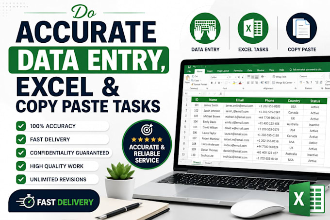 do accurate data entry, excel and copy paste tasks