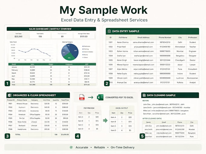 be your professional excel data entry specialist