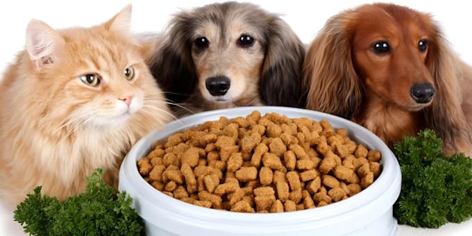 formulate custom pet food supplements and nutrition recipes