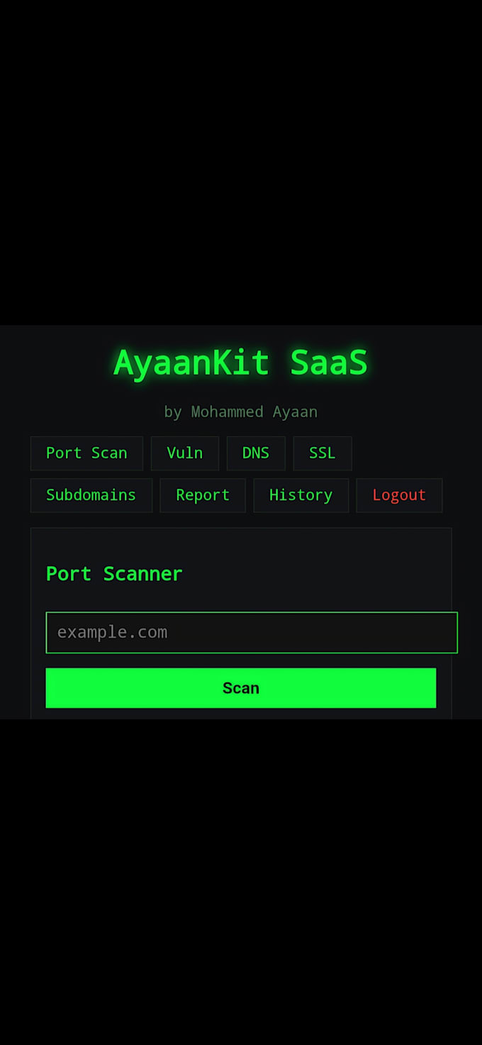 python automation script and web security audit