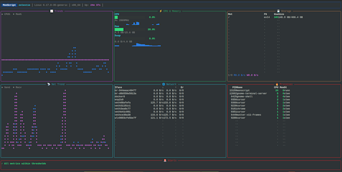 create your python script