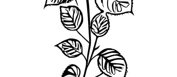 draw tattoo stencil ready artwork