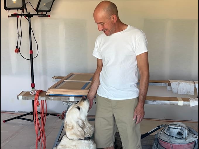 create ugc video ads for tools, construction, and pet brands