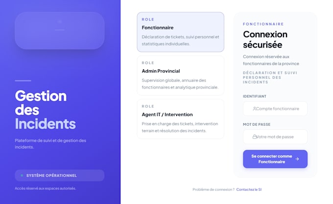 develop a custom web application