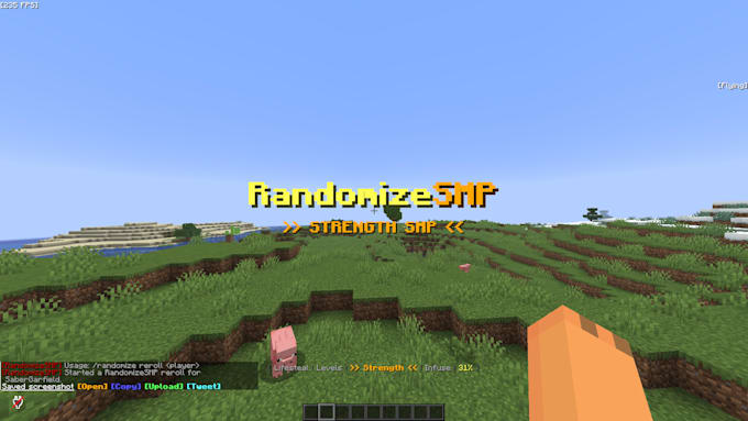 develop custom minecraft smp plugins in java
