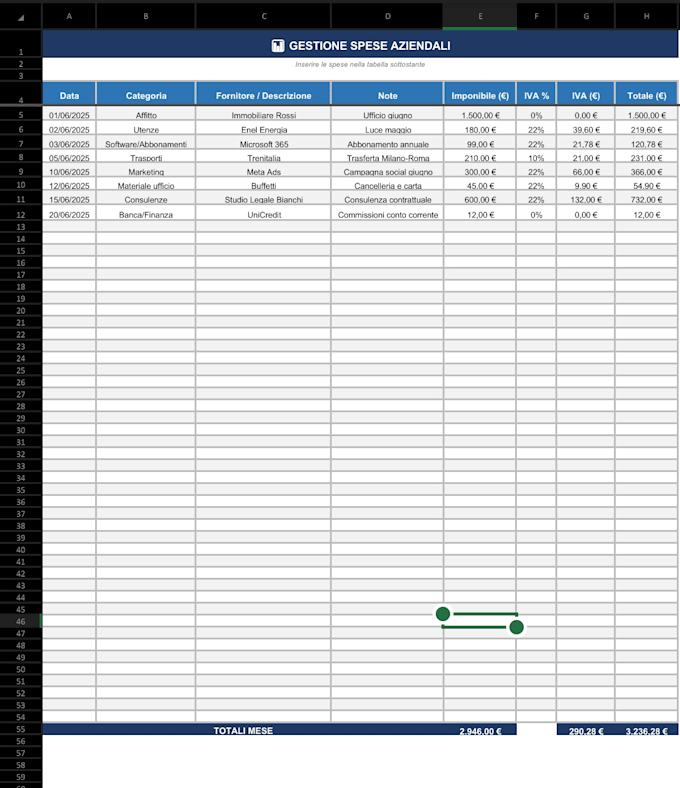 custom excel spreadsheet for your business needs