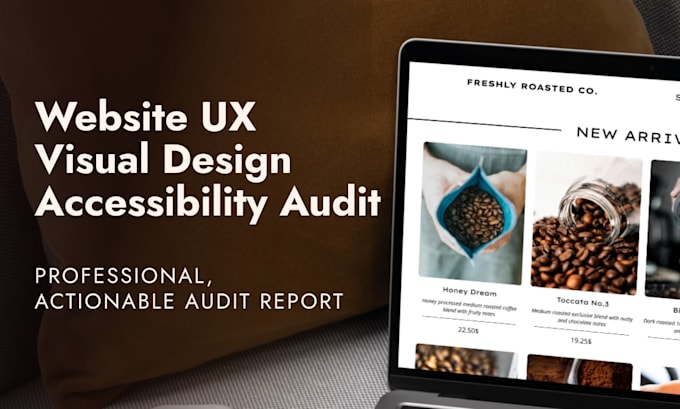 conduct a professional UX UI and accessibility website audit
