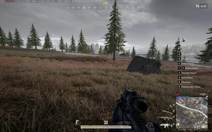 play pubg with you as a friend