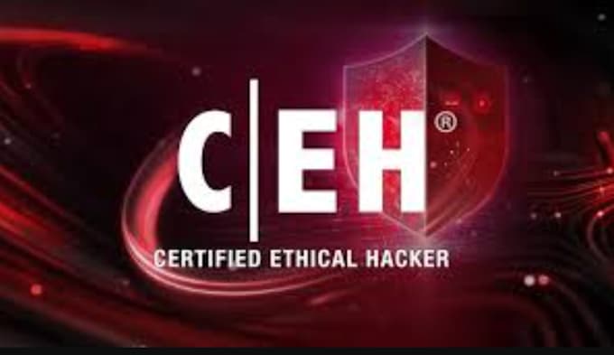 recover lost passwords and access forgotten accounts securely