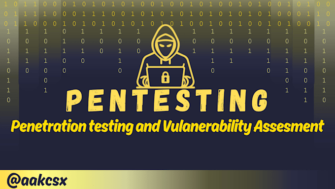 perform a pentest and vulnerability assessment