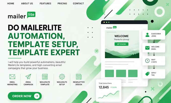 do mailerlite automation, mailerlite template setup, mailerlite campaign expert