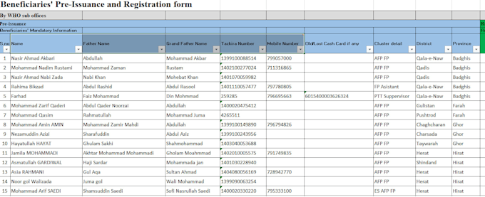 do professional PDF to word or excel conversion