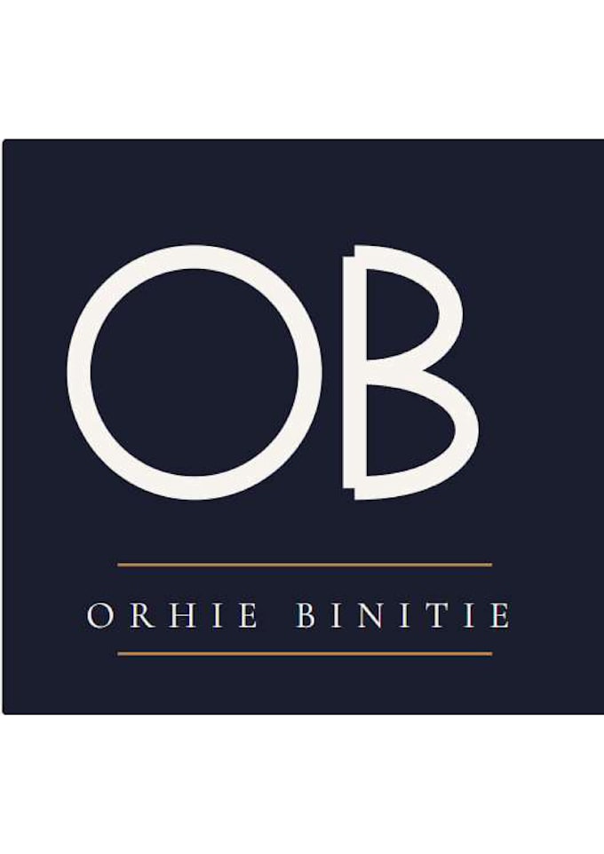 do professional editing , web design and logo design