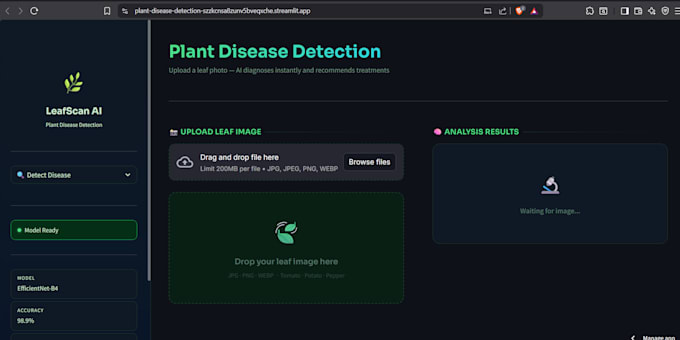 build a custom ai web app to classify, detect, or predict using python