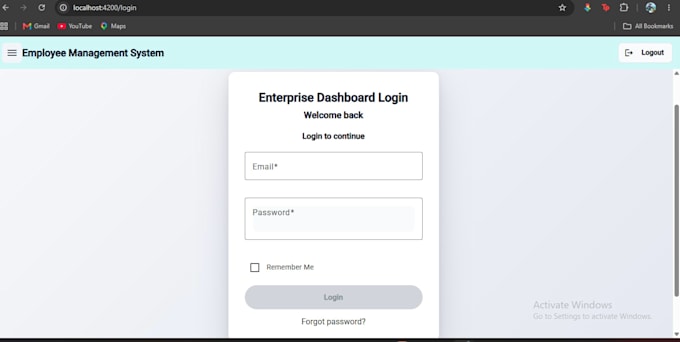 develop a professional angular website or web application