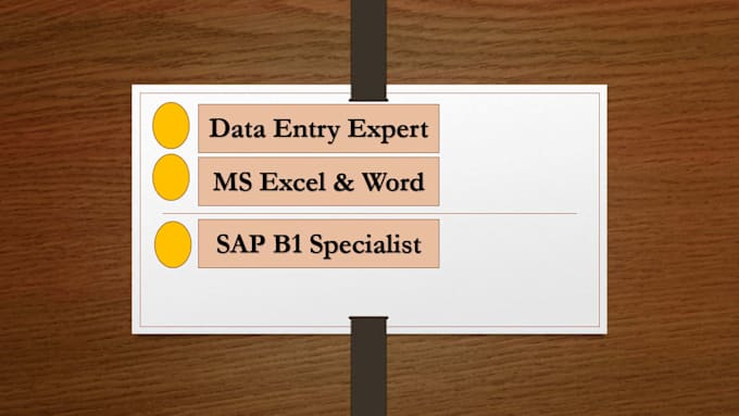 do professional data entry and sap b1 data management excel