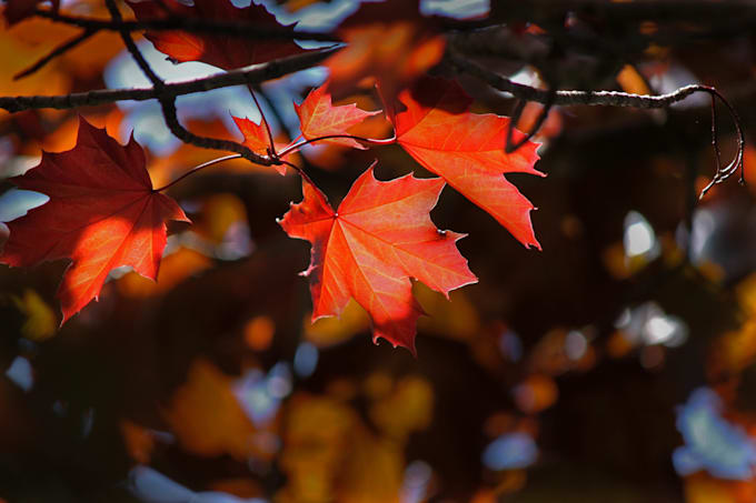 professionally retouch your photos in adobe lightroom