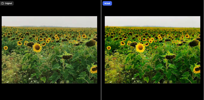 professionally edit your photos in adobe lightroom