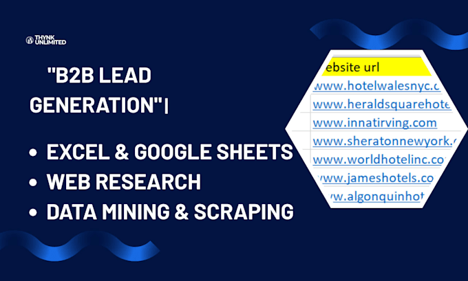 do professional data entry and b2b lead gen