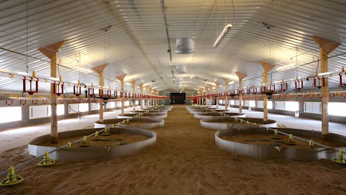 design 3d poultry farm, chicken house, hatchery, farm layout