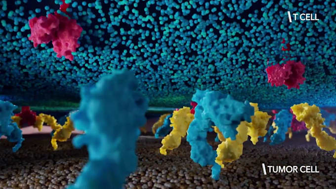 create 3d medical animation immunotherapy moa and pharmaceutical animation