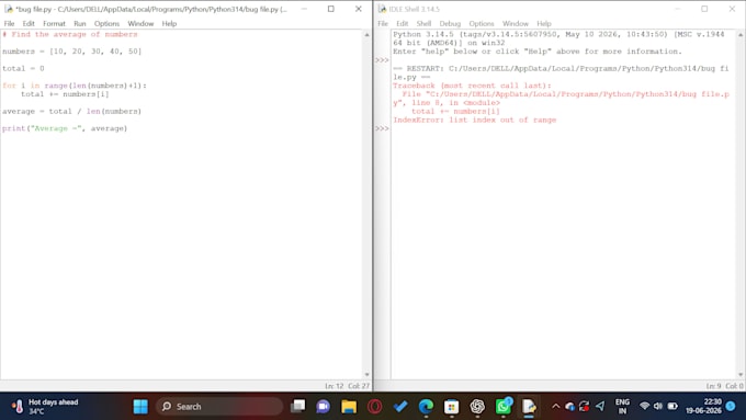 write python scripts, automation tools, and custom programs