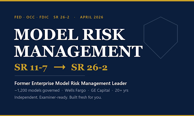 build your model risk management and validation framework