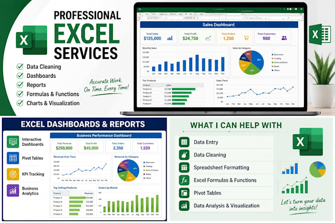 provide professional microsoft excel services