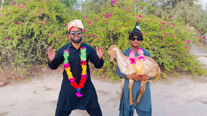 do happy birthday video